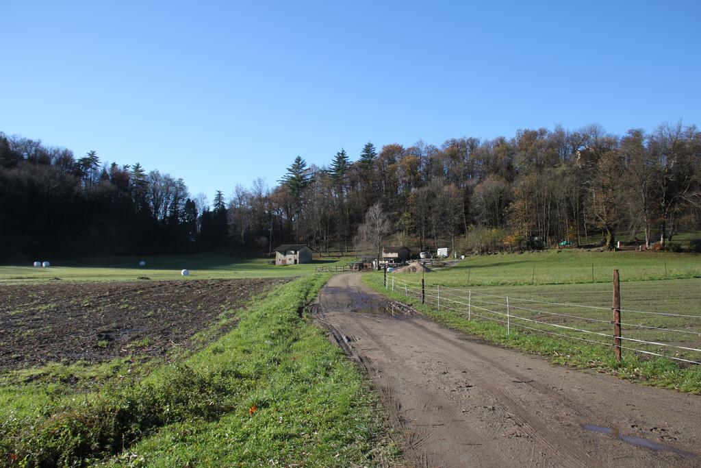 Casa Al Sasso Villa Bedigliora Eksteriør billede